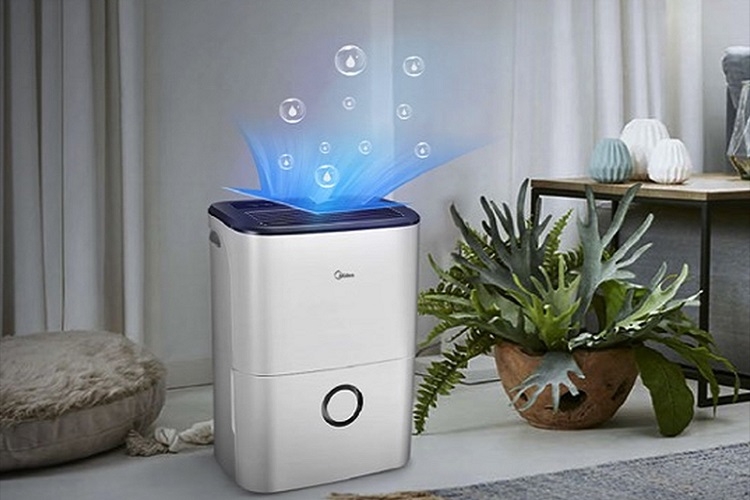 Mua máy hút ẩm ở đâu tại quận Tây Hồ? (Hình 5)