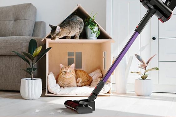 mua m&aacute;y h&uacute;t bụi Kyvol ở đ&acirc;u uy t&iacute;n - H&igrave;nh 5