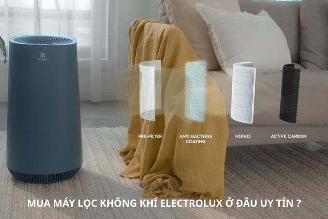 Mua máy lọc không khí Electrolux ở đâu uy tín? Bí mật chọn đúng nơi bán chính hãng, bảo hành rõ ràng, dùng lâu không lo rủi ro