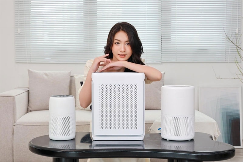 Mua m&aacute;y lọc kh&ocirc;ng kh&iacute; Lumias ở đ&acirc;u uy t&iacute;n h&igrave;nh 1