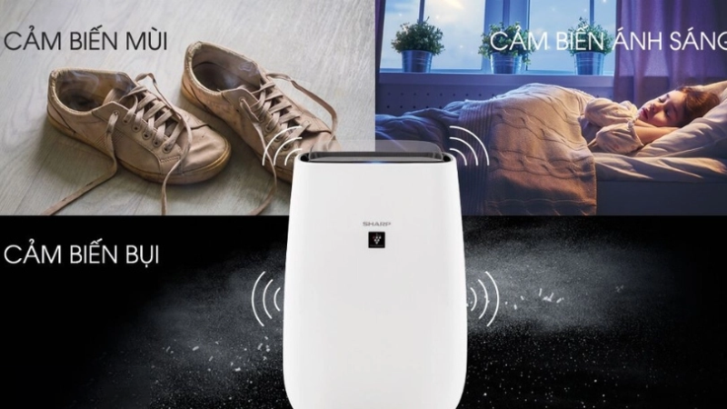 Mua m&aacute;y lọc kh&ocirc;ng kh&iacute; Sharp ở đ&acirc;u uy t&iacute;n? - h&igrave;nh 3