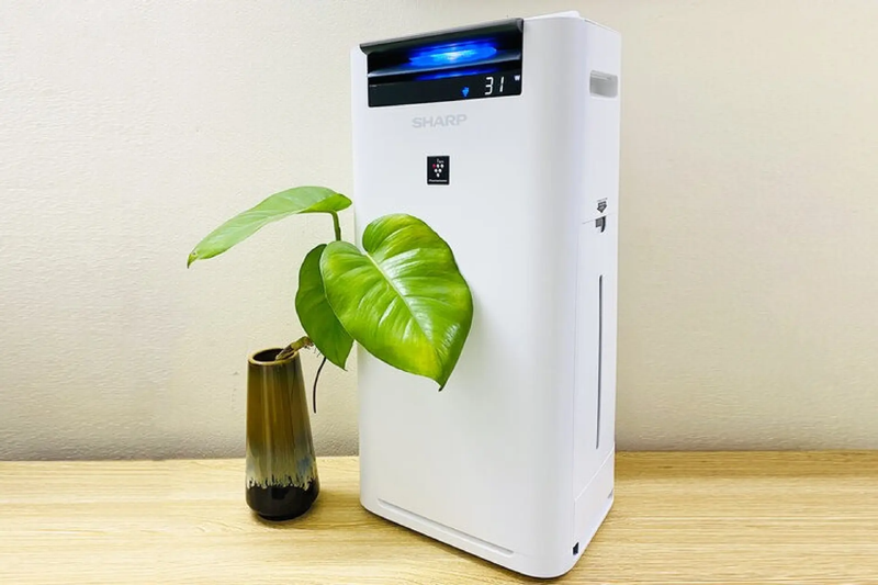 Mua m&aacute;y lọc kh&ocirc;ng kh&iacute; Sharp ở đ&acirc;u uy t&iacute;n? - h&igrave;nh 4