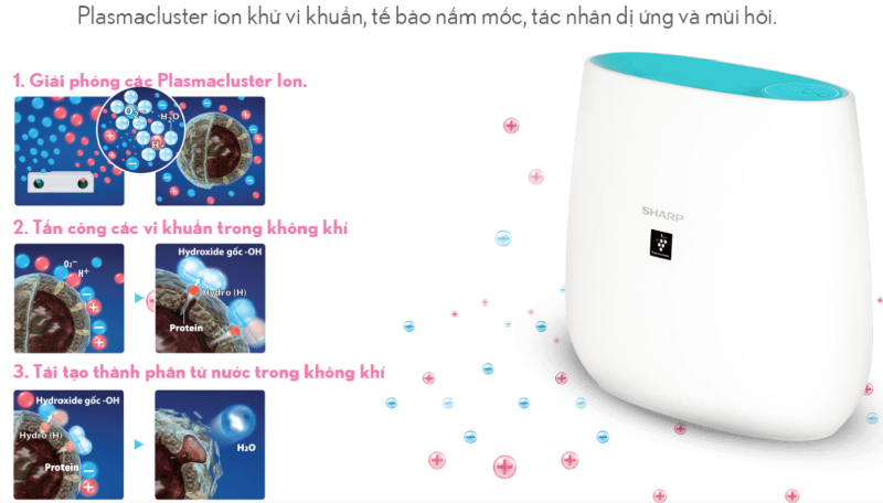 Mua m&aacute;y lọc kh&ocirc;ng kh&iacute; Sharp ở đ&acirc;u uy t&iacute;n? - h&igrave;nh 9