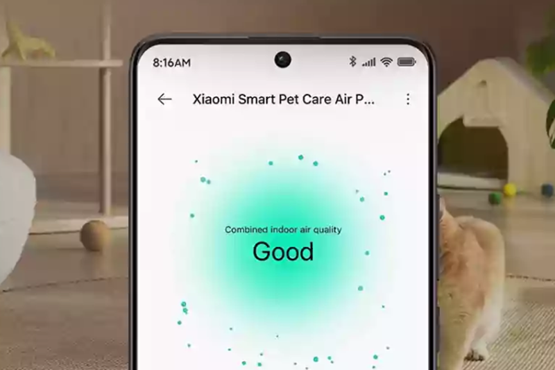 mua m&aacute;y lọc kh&ocirc;ng kh&iacute; Xiaomi ở đ&acirc;u uy t&iacute;n - h&igrave;nh 2