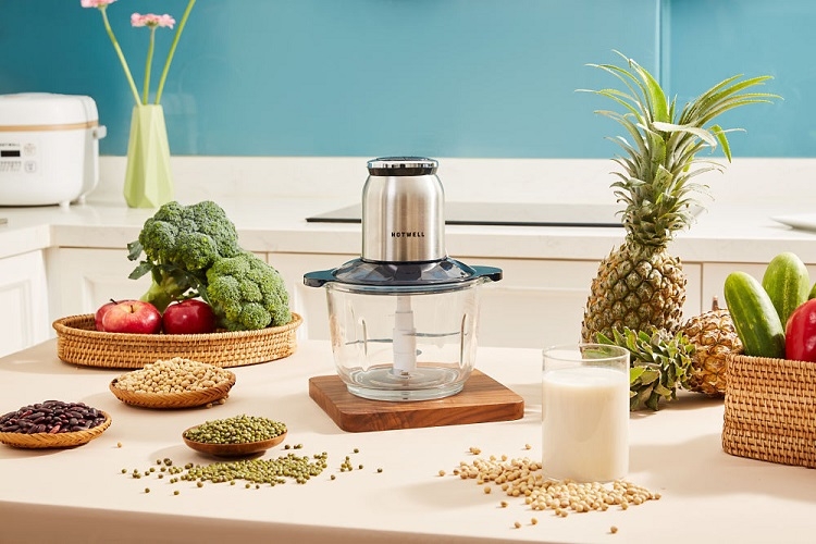 Mua máy xay thịt ở đâu tại Bình Thuận? (Hình 4)