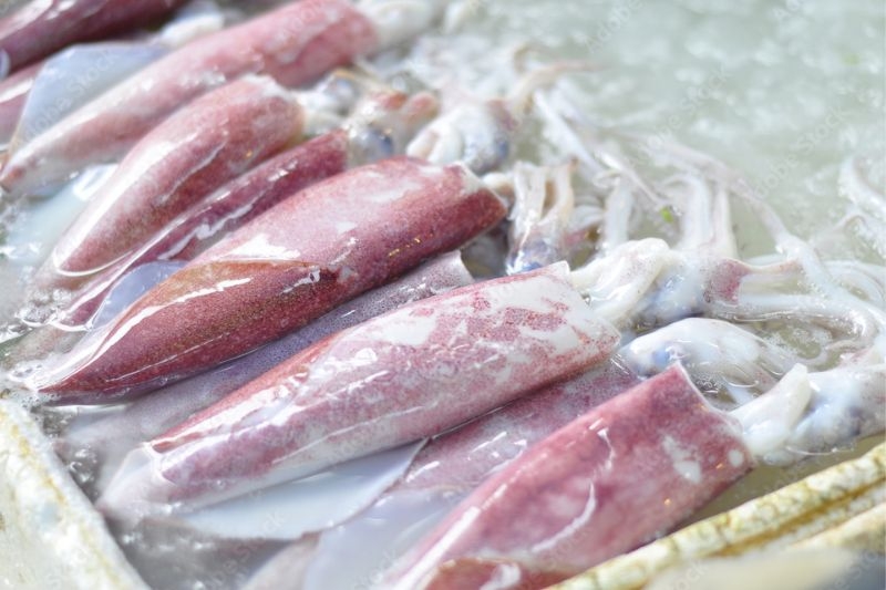 mực hấp nước dừa 1