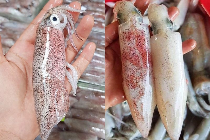 mực hấp nước dừa 2