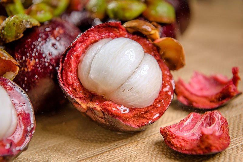 Mướp đắng kỵ gì hình 4