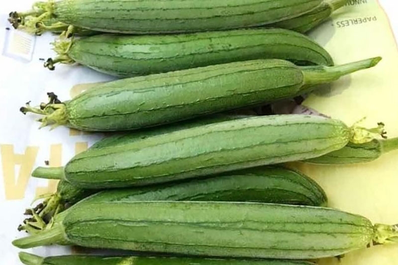 Hướng dẫn cách làm mướp xào giá (hình 2)