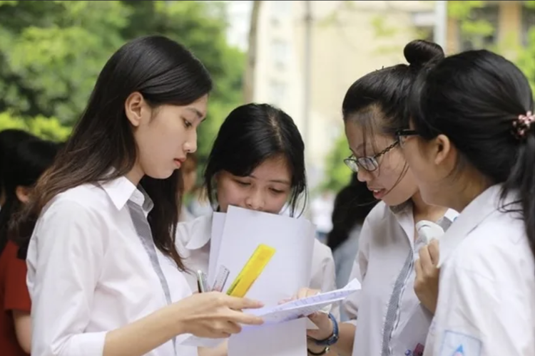 N02 gồm những môn nào? Ngành nào hình 6