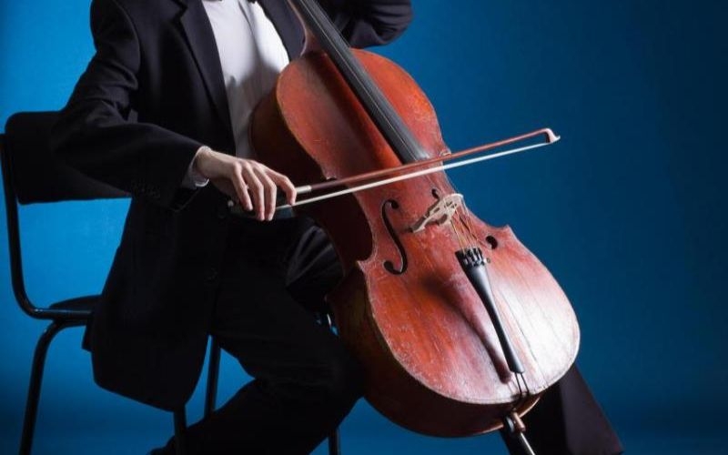 N08 gồm những môn nào? ngành nào - Hình 9