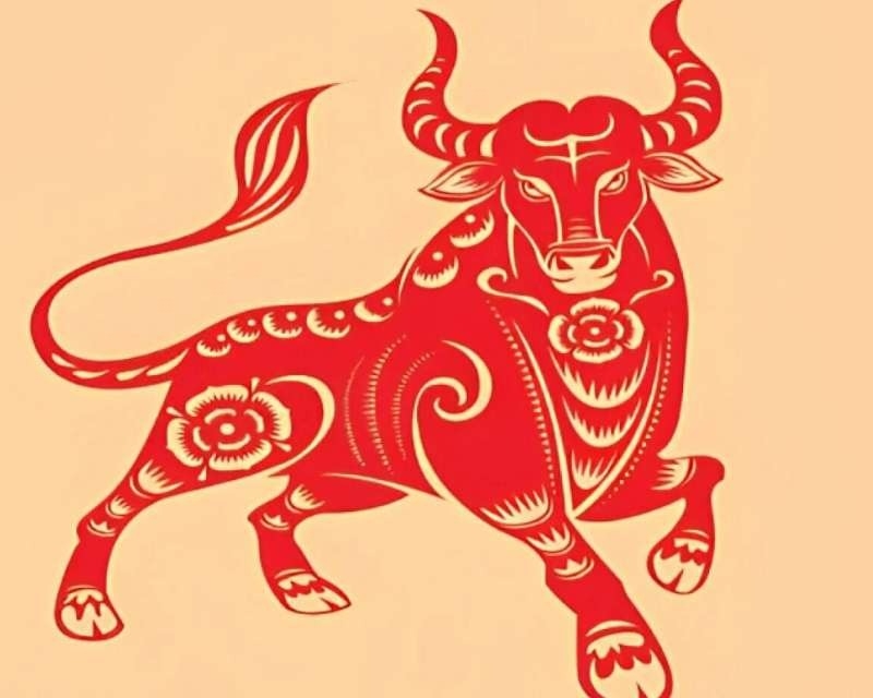 Năm 2025 tuổi Sửu hợp màu gì hình 2