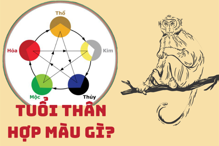 Năm 2025 tuổi Thân hợp màu nào hình 3