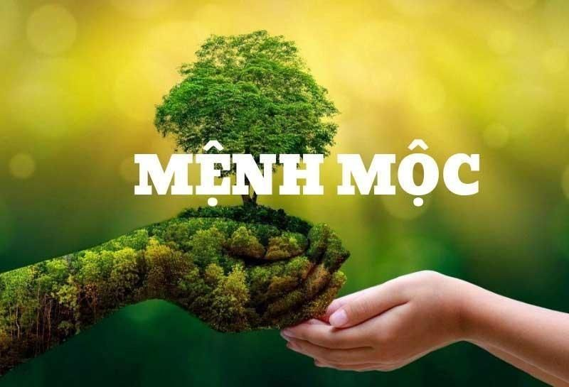 Tuổi Kỷ Hợi 1959, 2019 mệnh Mộc