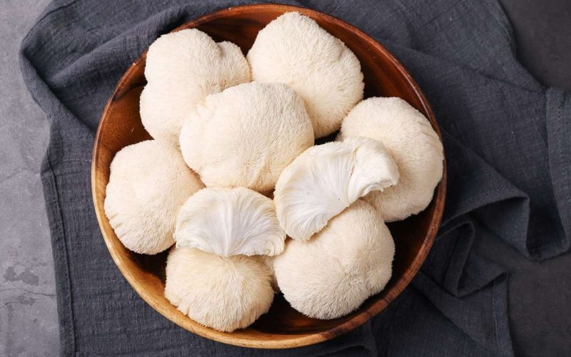 Lợi ích sức khỏe của nấm bờm sư tử