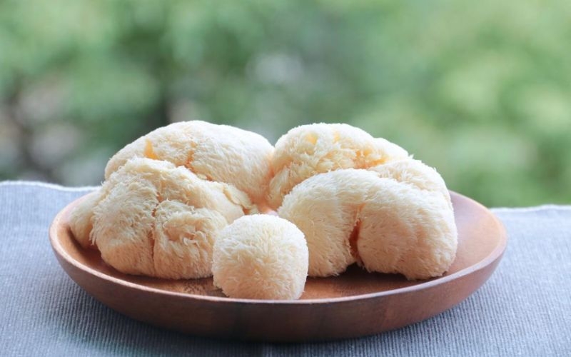 Lưu ý khi sử dụng nấm bờm sư tử