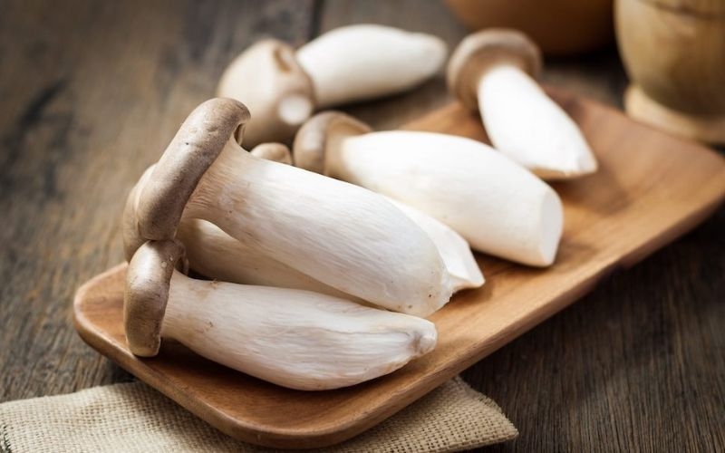 Cách chọn nấm đùi gà tươi ngon