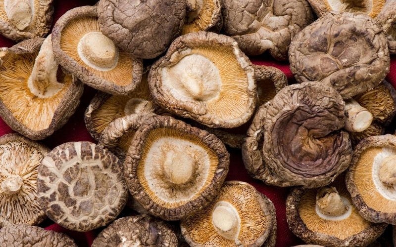 Cách sơ chế nấm hương và nấm đông cô đúng cách