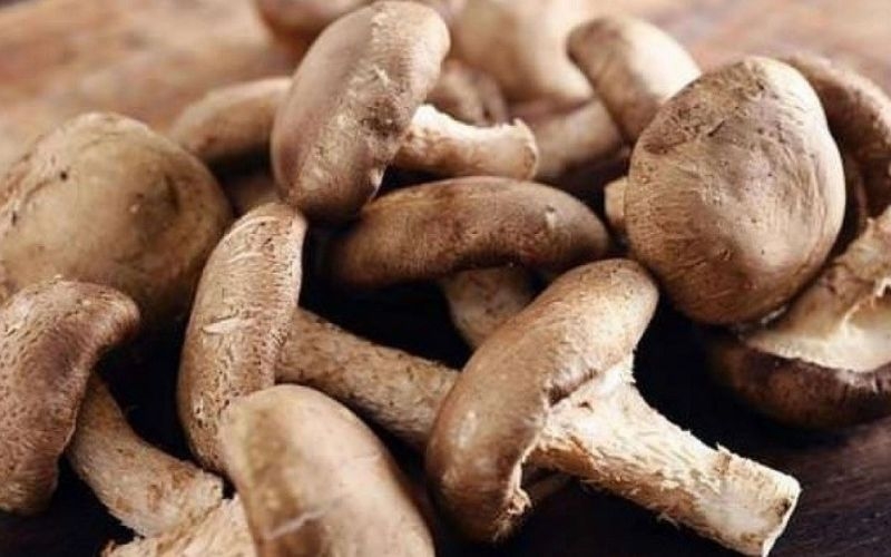 Lưu ý khi sử dụng nấm hương và nấm đông cô