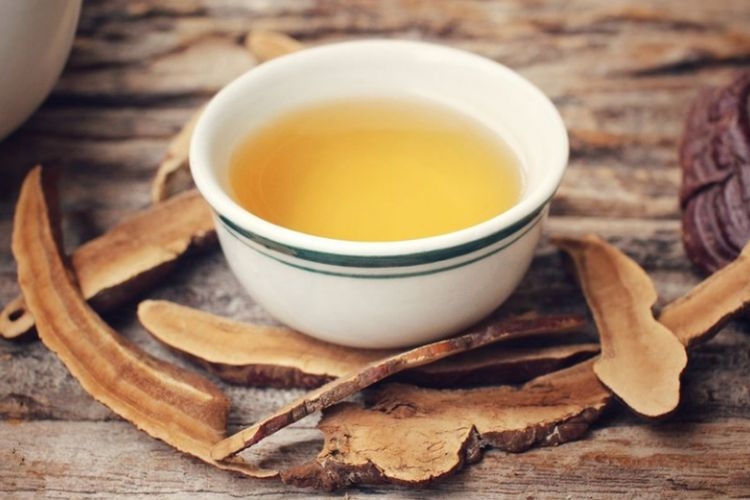 nấm linh chi vàng 5