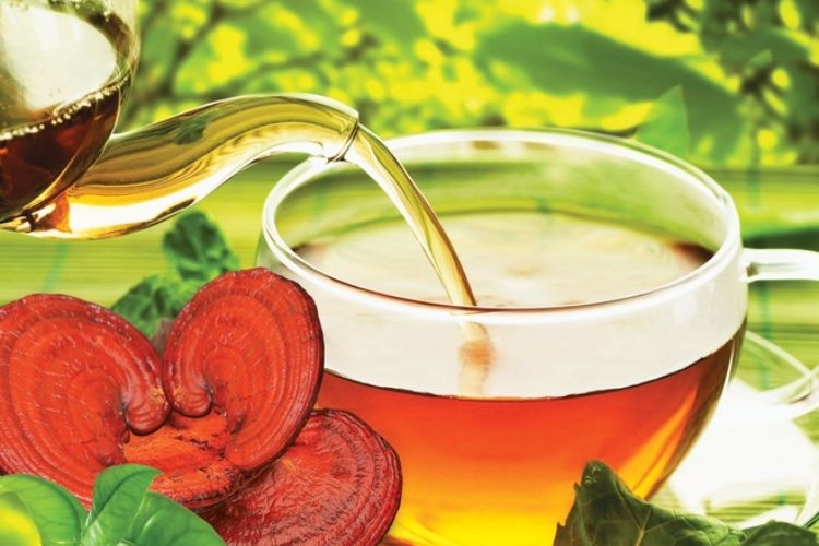 nấm linh chi vàng