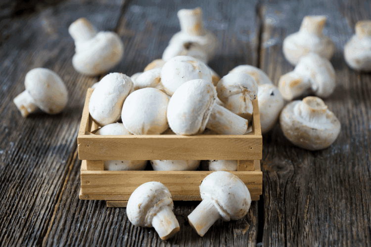 nấm mỡ trắng ảnh 1