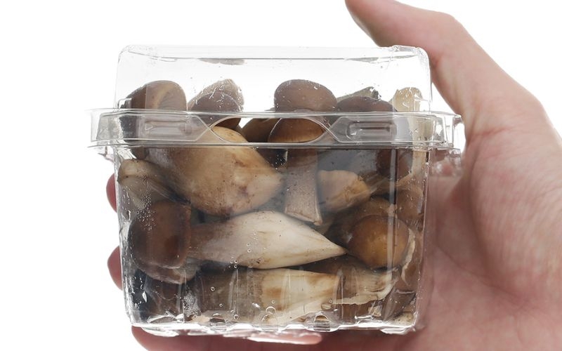 Cách bảo quản nấm mối đen