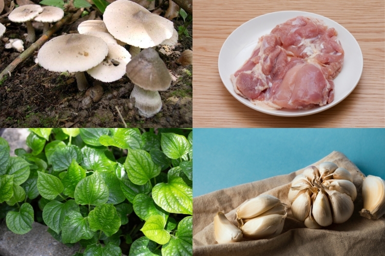 nấm mối xào thịt gà.jpg