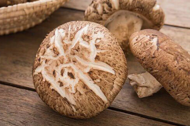 Nấm Shiitake 1