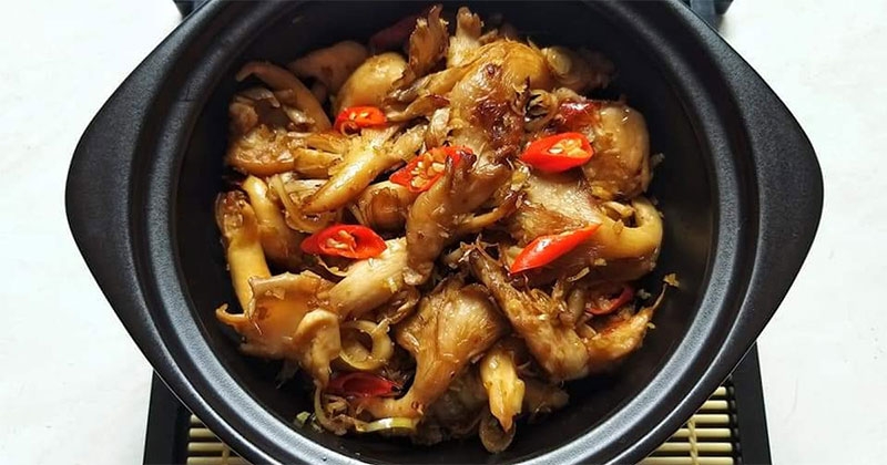 Nấm sò nâu hình 3