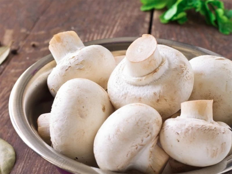 Nấm trắng (hình 2)