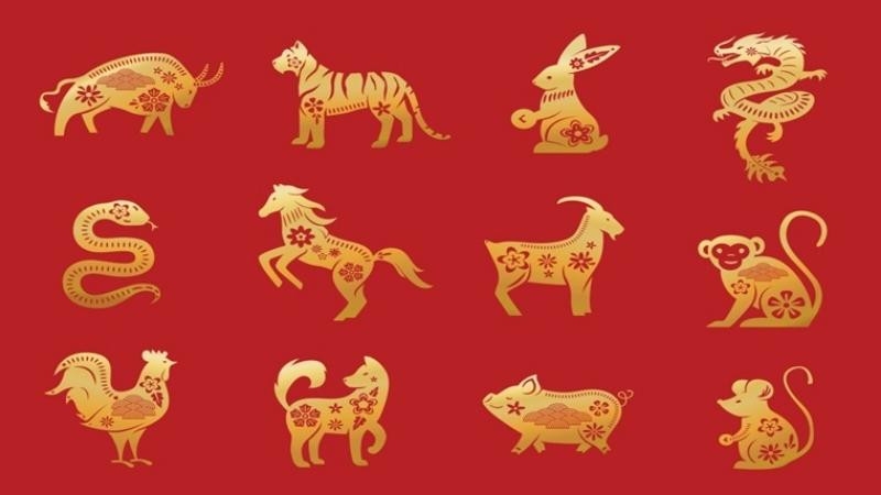 Năm tuổi là gì (ảnh 1)