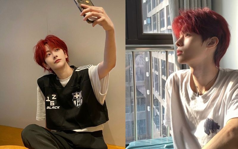 Nâu đỏ nam hình 1