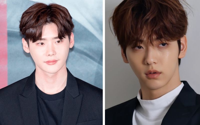 Nâu đỏ nam hình 2