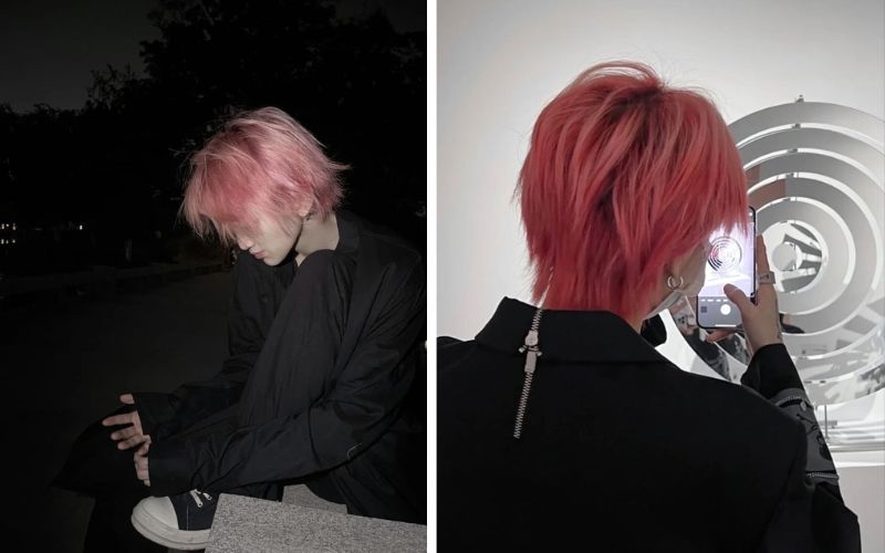 Nâu đỏ nam hình 3