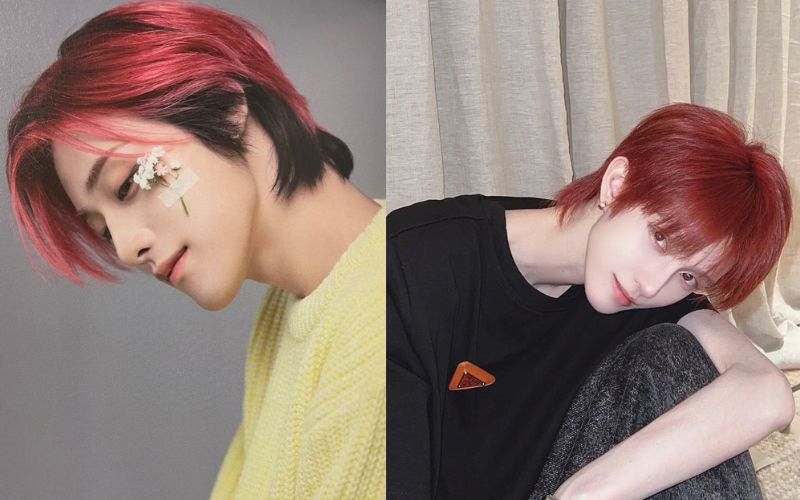 Nâu đỏ nam hình 5