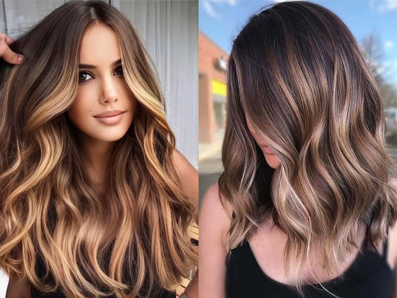 Nâu hạt dẻ hình 3