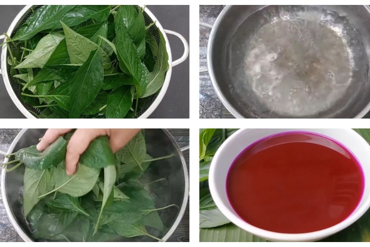 nấu xôi lá cẩm bằng nồi cơm điện hình 5