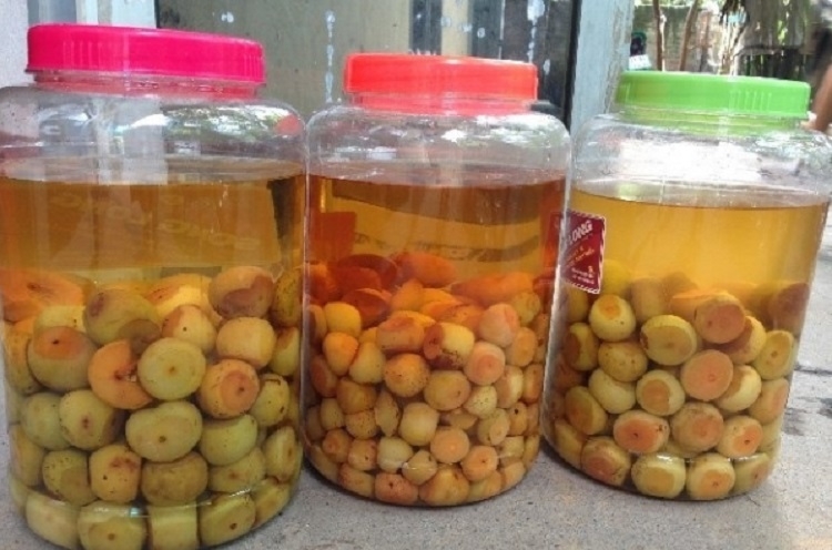 Nên ngâm rượu bằng bình gì? (Hình 2)