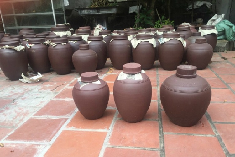 Nên ngâm rượu bằng bình gì? (Hình 4)