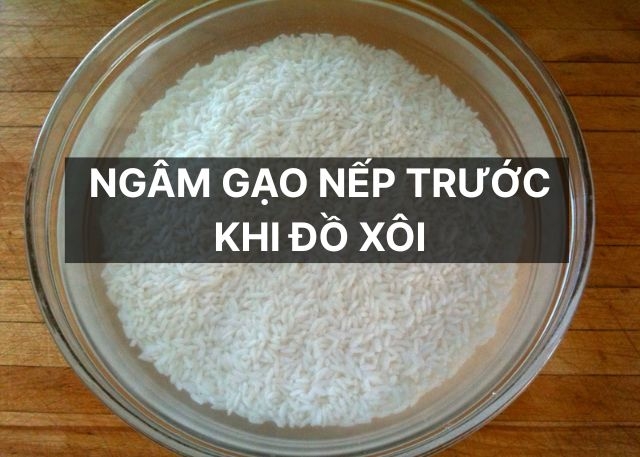 Lý do nên ngâm gạo nếp trước khi đồ xôi: Bí quyết giúp xôi dẻo thơm và chín đều hơn
