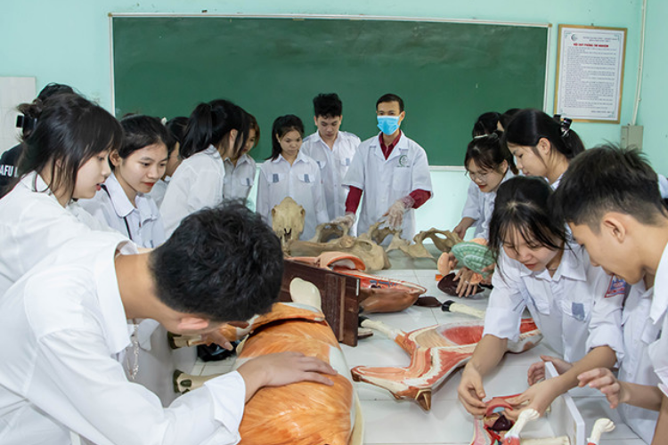 ngành chăn nuôi 5