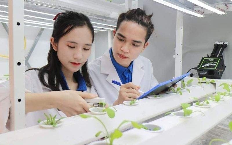 Học ngành Nông nghiệp ra làm gì