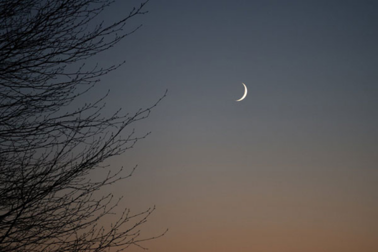 Ngày trăng non là ngày nào 2025 (5)