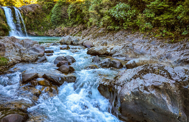 Ngoại lực là gì 3