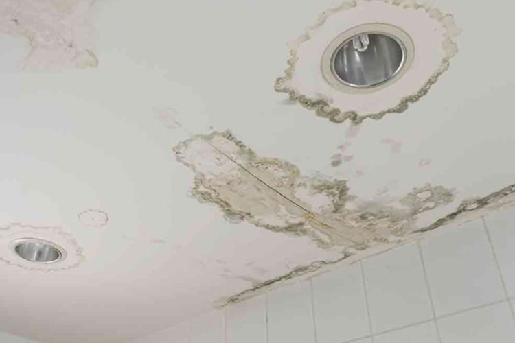 Nhà bị dột thì phải làm sao? Nguyên nhân và cách xử lý trần nhà bị dột hiệu quả