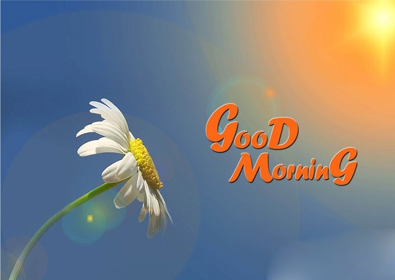 những câu chúc hay ảnh 7