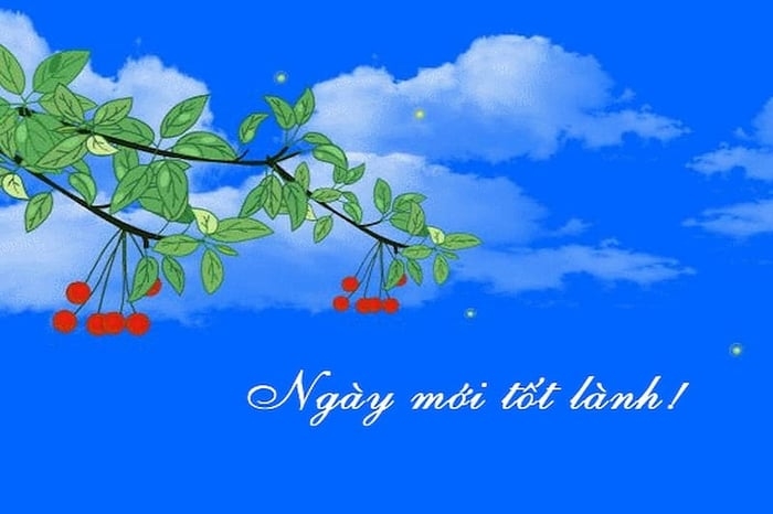 những câu chúc hay ảnh 11