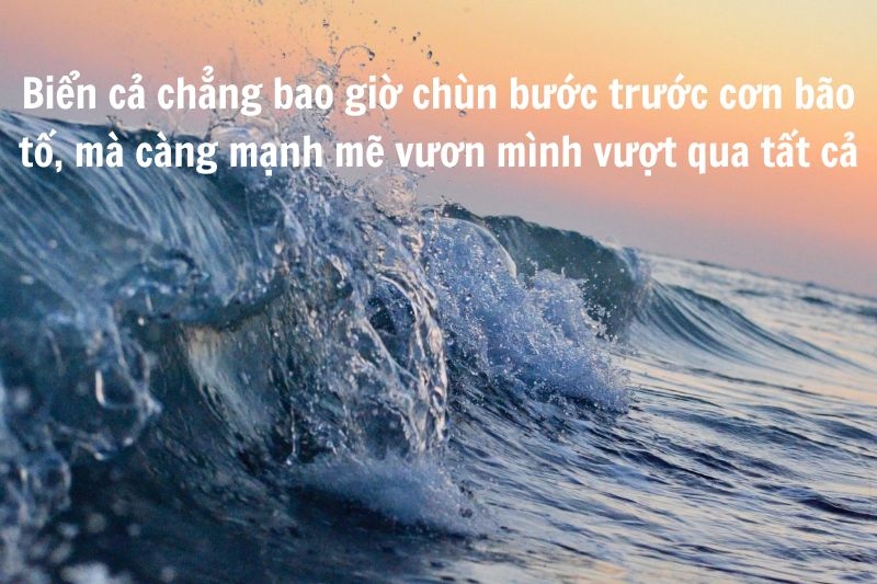 Những câu nói hay về biển ảnh 5