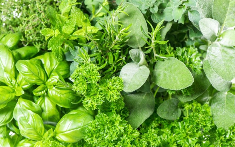 những thực phẩm không nên cho vào nồi nấu chậm - thảo mộc tươi